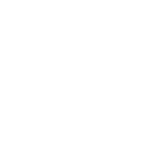 Network